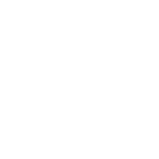 Groundbirds